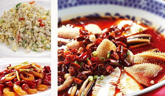 深圳市巴蜀風飲食管理圖冊 餐飲管理的藝術與實踐